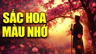 Sắc Hoa Màu Nhớ | Bản Bolero Gợi Nhớ Cả Một Thời Yêu 🤔#SacHoaMauNho #BoleroHay #NhacTruTinh #NhacXua