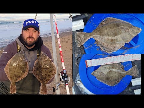 Surf fishing for big winter Flounder on an Irish beach with Lugworm.