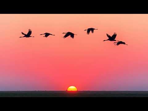 Tiako ianao    Fafah