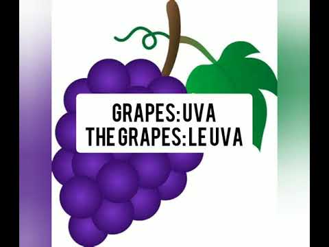 Learn Italian Language Vocabulary: Italian Word of the Day - Grapes/Uva 🍇 #wines #vineyard #italian
