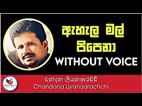 Ahala Mal Pipena Karaoke - Chandana Liyanaarachchi | Sinhala Karaoke | Sinhala Karaoke without voice