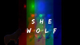 She Wolf Music Video