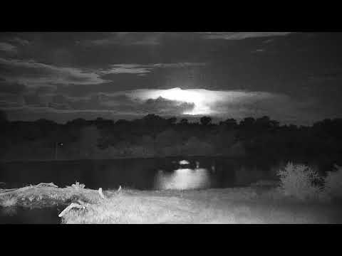 Djuma: Sights and sounds with storm in the distance - 18:49 - 02/07/2020