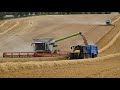 Harvest 2023 - Combining Barley with TWO Claas Lexions 770 & NEW 8900 and two NEW JCB Fastrac 4220s