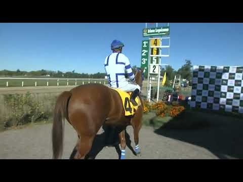 HIPODROMO SINT FLORIDA - 220421 c05 1° FECHA PATRIA JF