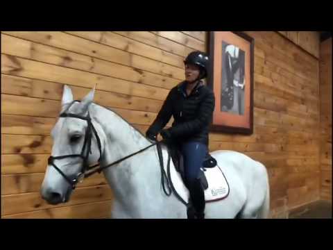 The Madden Method - Shoulder In