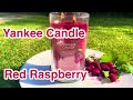 Svíčky Yankee Candle Signature Red Raspberry Tumbler 567g