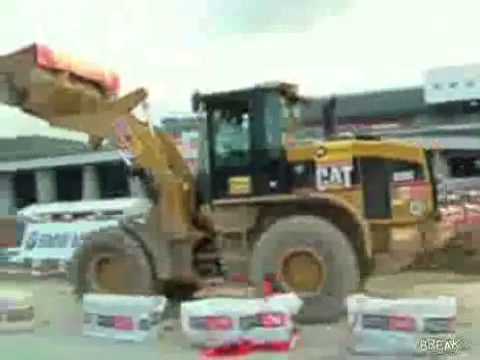 Gorilla Driving Pick Up Truck