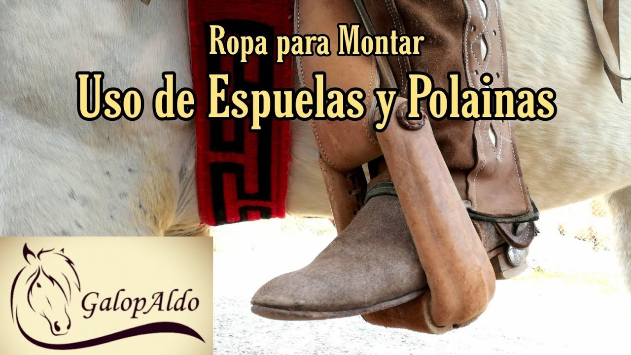 Ropa para Montar / Uso de Espuelas y Polainas | GalopAldo