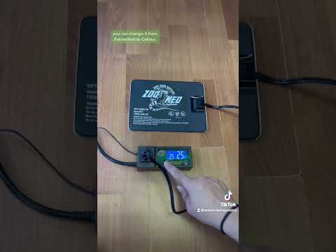 How to setup a ZooMed Reptitemp Digital Thermostat. #everevolvingexotics #howto #reptileshop #tucson