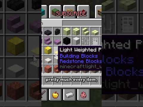 UNBELIEVABLE: THE MOST RARE ITEM IN MINECRAFT!