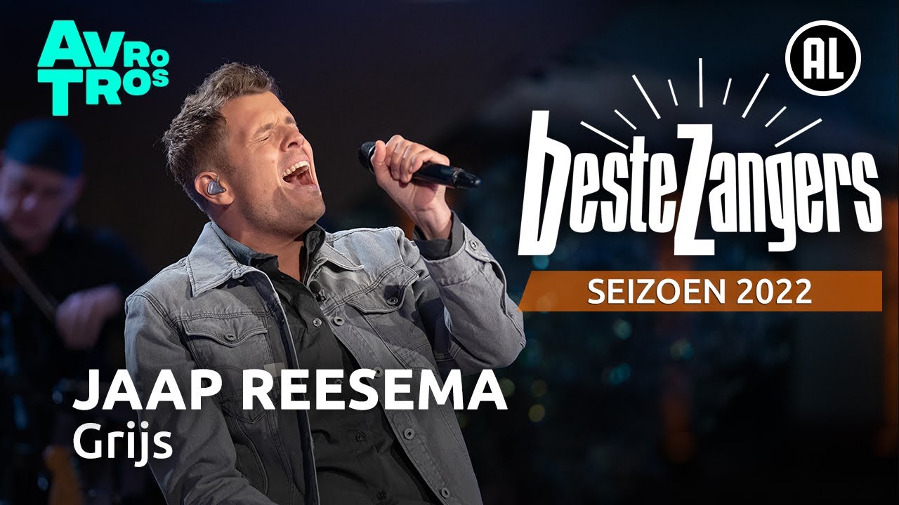 Jaap Reesema Grijs Songtekst