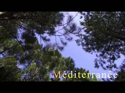 Camping Arinella Bianca - Corse