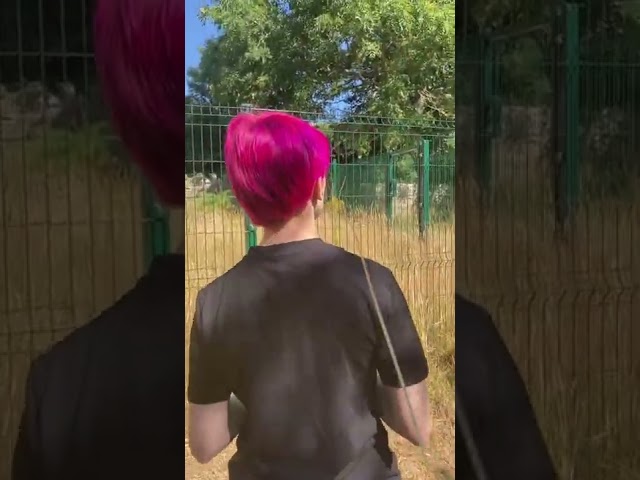 Vídeo relacionado con Cute Little Wasp Funny Minimalist Simple Whisperer Wasp Sudadera con Capucha