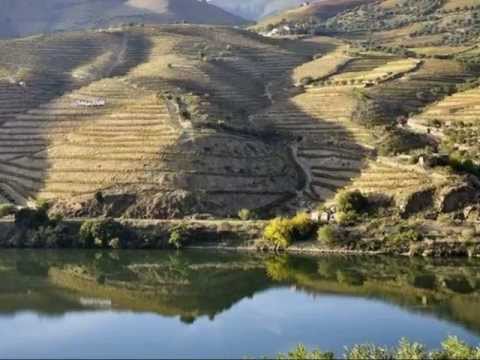 Douro ( Donna Maria - Vinho do Porto )