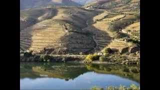 Douro (Dona Maria - Vinho do Porto)