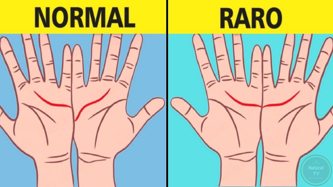 SEGREDO MILENAR É REVELADO E DIZ TUDO SOBRE CADA LINHA DAS MÃOS !