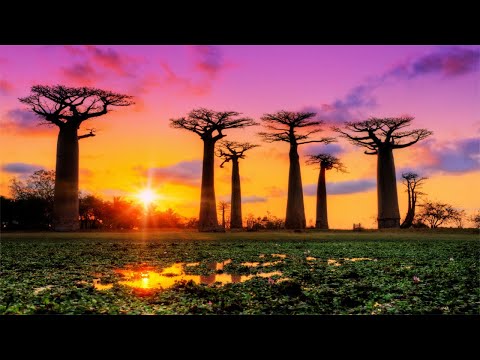 13 HOURS Morning Relaxing Music, Remove Negative Thoughts & Emotions, Sleep Music