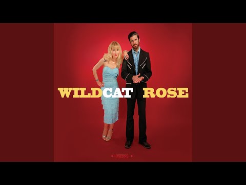 I Don't Wanna Work No More