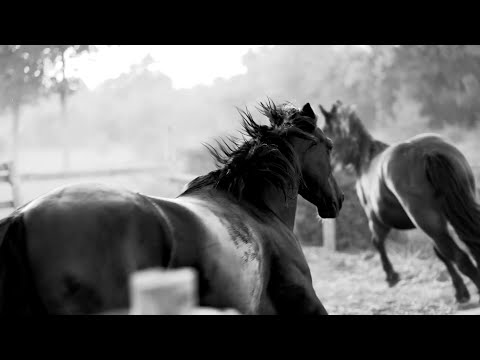 Martin Turčan OBLAČNÝ SYSTÉM - MIER (official) 09/01/2021