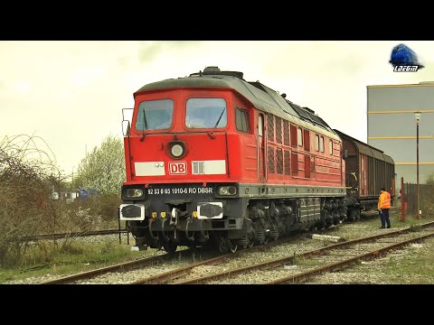 BR232 Ludmilla & Trenuri🚂🚆🚂 Trains in Gara Episcopia Bihor Station - 04 April 2022