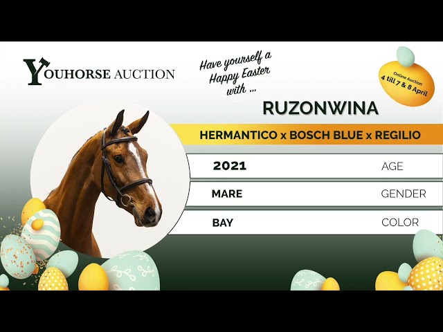 Ruzonwina showvideo indoor