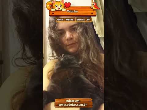 Vídeo de Pittinho