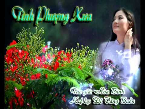 Tình phượng xưa - Ngọc Quy