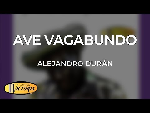 Alejandro Duran - Ave Vagabundo