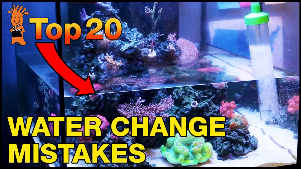 Reef Tank Water Change Mistakes: 20 Errors That Cause Instability (and What to Do Instead)