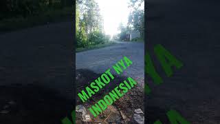 Download lagu di jalan raya ada cewek naik motor matic kecepatan tinggi #shorts mp3