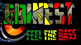 Trinidad Jame$, 2Chainz, Future, Waka Flocka,Gucci Mane - Hoodrich Anthem  (Bass boosted - HD)