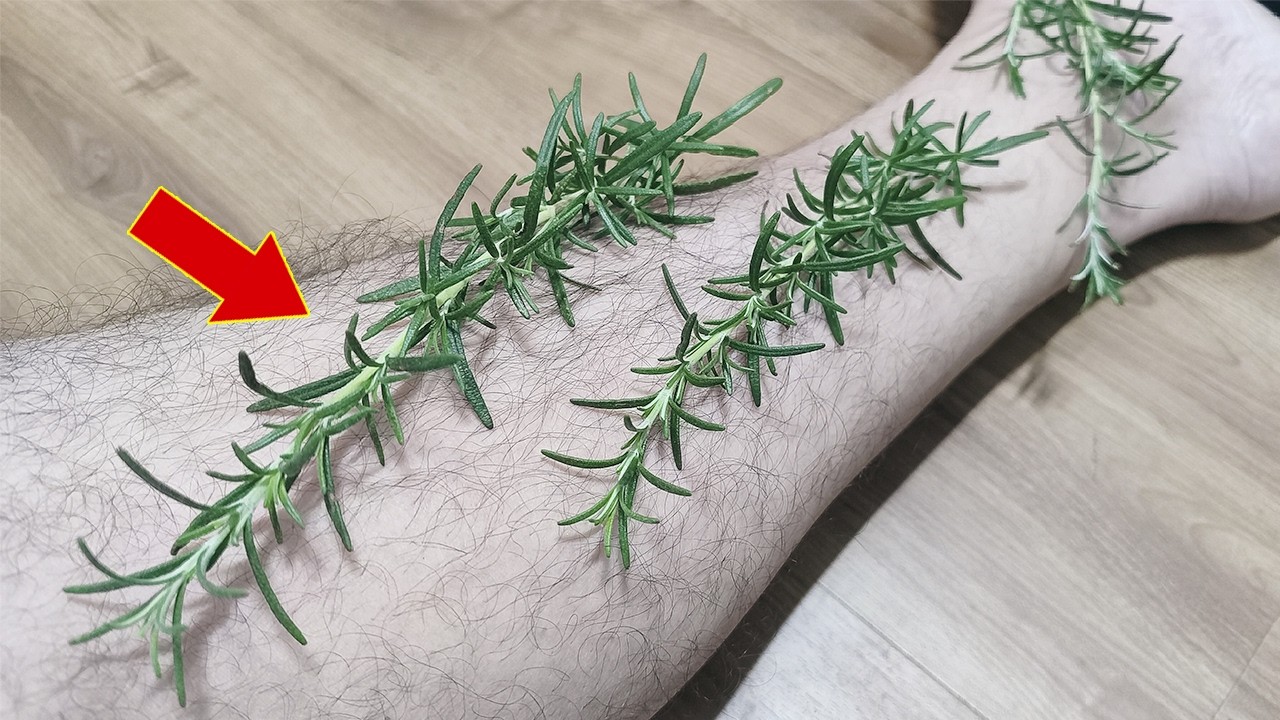 Put rosemary on your legs and stop spending money at the pharmacy (Did you know that?)