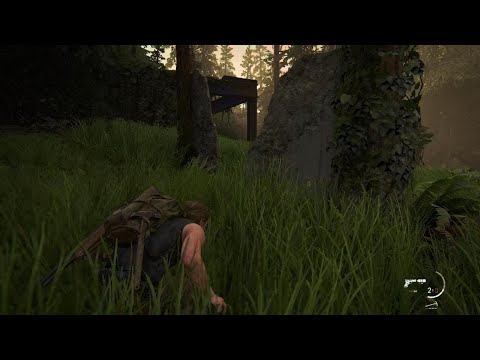 The Last of Us Part II hostile territory