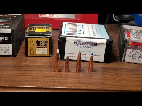 Best bullets for hunting