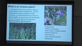 What Is An Invasive Plant?