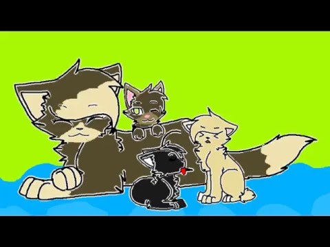 Minha matilha de filhotes Video mais fofo do mundo