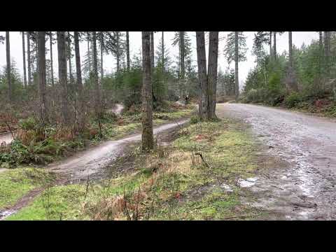 Juice Box Jump Trail at 360 Trails In The Rain