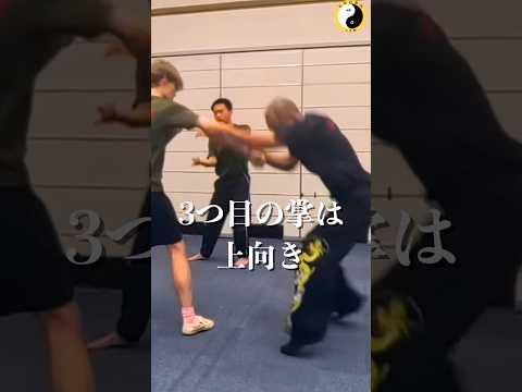 #林隆志 #自然門 #Ziranmen   #CQC #evantai #崩し技 #体術 #護身術 #間合い #重心操作 #martialarts #selfdefense