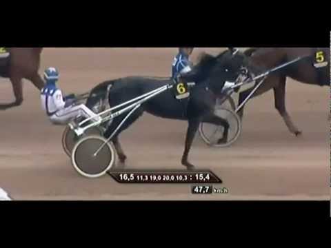 Deutsches Traber Derby 2012_Vorlauf_01_Dream Magic BE 1:15,1_Josef Franzl jun.