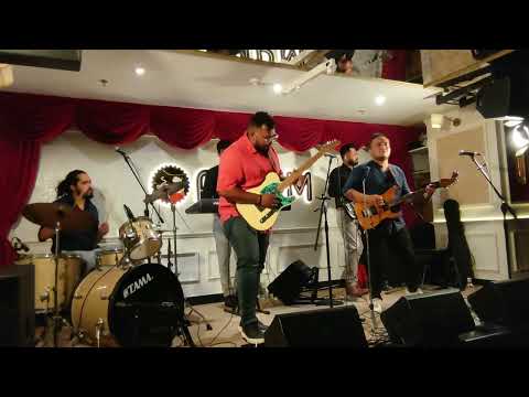 Pink Floyd - Comfortably Numb ( Solo )  Switch Live