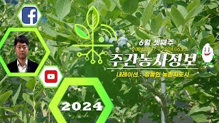 [ 주간농사정보 ] 6월 3째주 (2024. 06. 17. ~ 06. 24.)