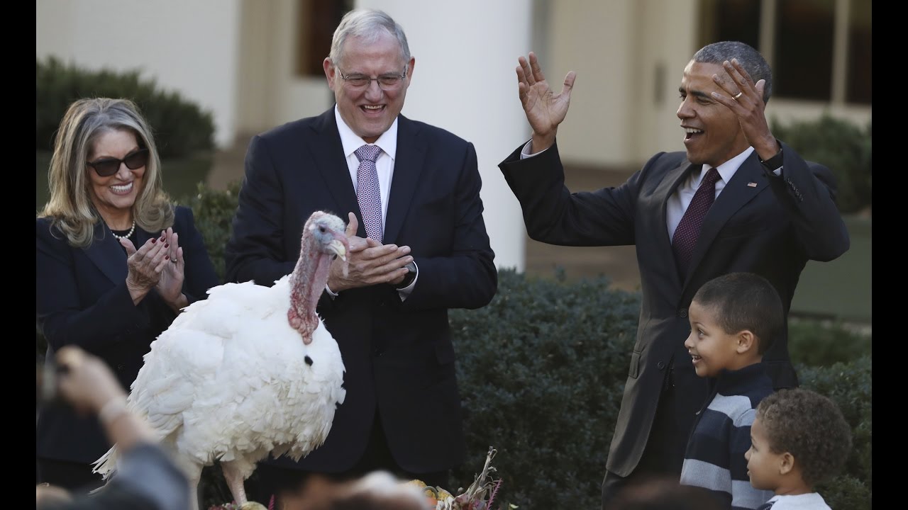 Obama cracks dad jokes at his final Thanksgiving turkey pardon - YouTube