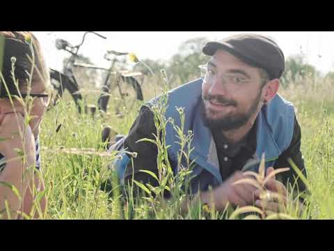 Das Bayerische Vertragsnaturschutzprogramm - so funktioniert's!