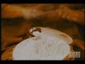 Saeed Mohammadi Cheshm Berah سعید محمدی چشم براه