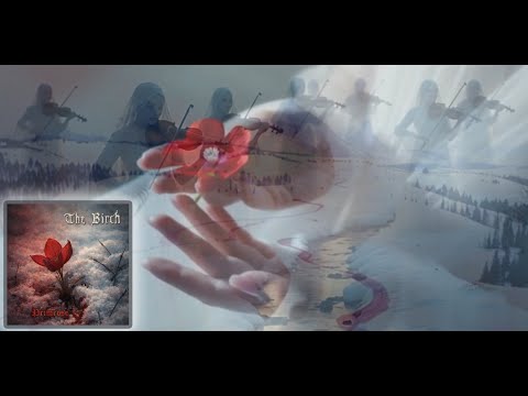 video frame placeholder