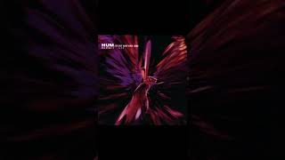 HUM / I&#39;d Like Your Hair Long