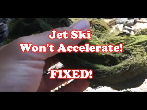 Jet Ski won't Accelerate! - Seaweed in Impeller - FIXED!