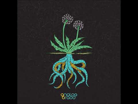 Dandelion - Analog Brass