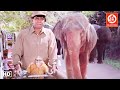 Main Aur Mera Haathi Full Movie मैं और मेरा हाथी Mithun Chakraborty Poonam